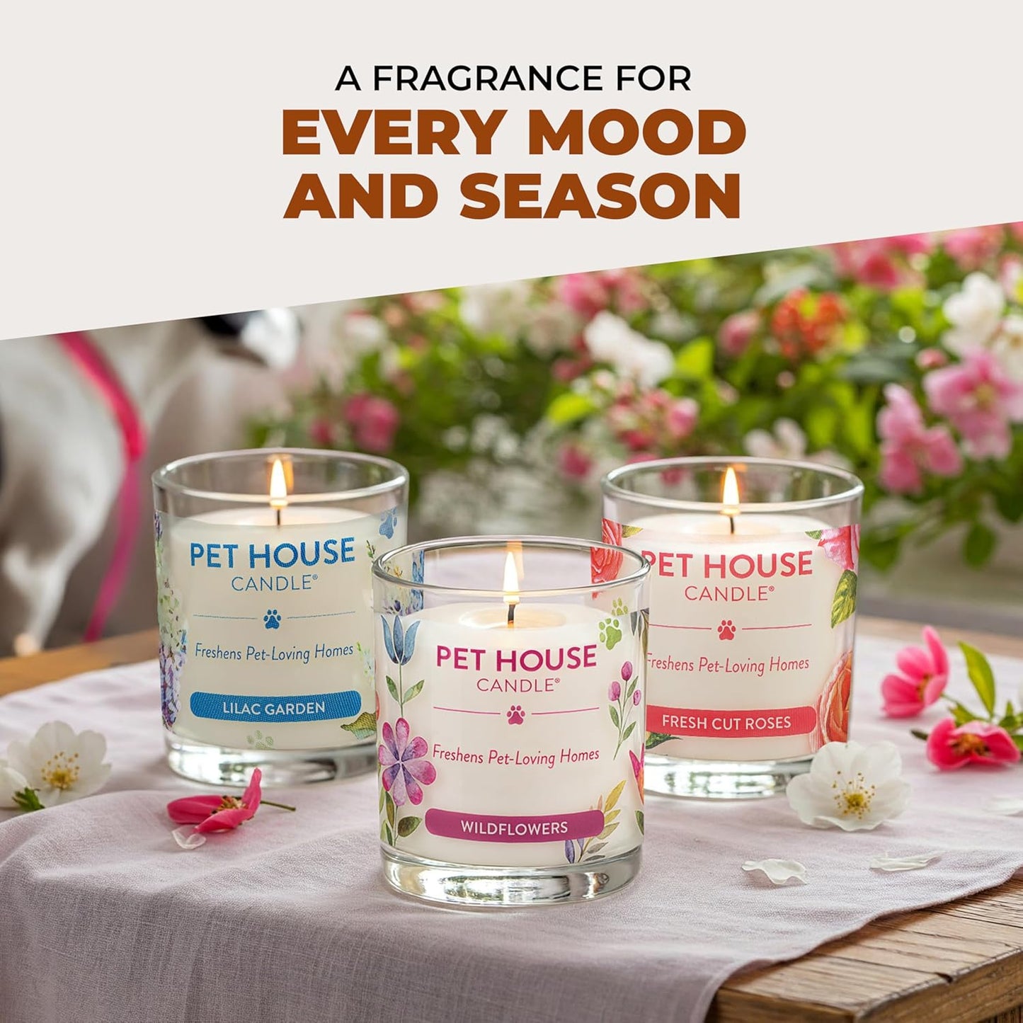 - 100% Natural Soy Wax Candle - Pet Odor Eliminator, up to 60 Hours Burn Time, Non-Toxic, Eco-Friendly Reusable Glass Jar Scented Candles – Pumpkin Spice - Pack of 2