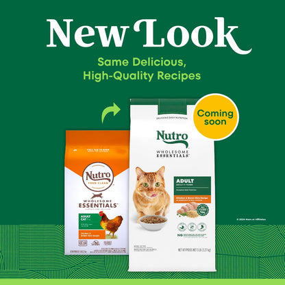 Wholesome Essentials Adult & Senior Dry Cat Food, Chicken